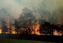 Photo of Распространение лесных пожаров в Австралии